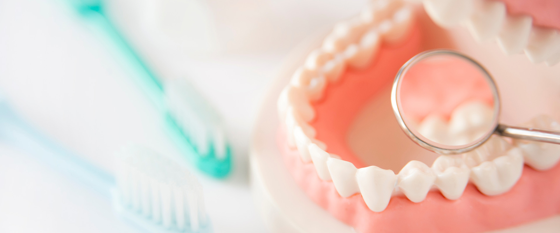 © akira_photo - stock.adobe.com